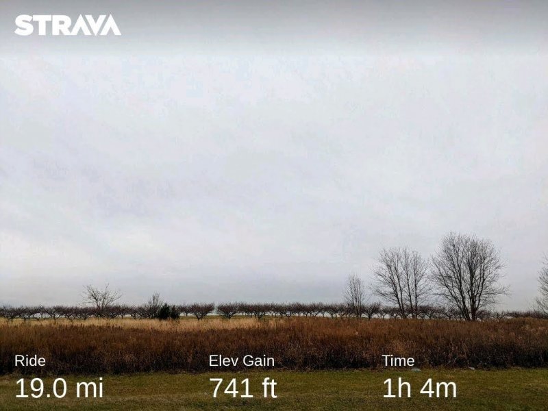 strava8706880405717850567.jpg