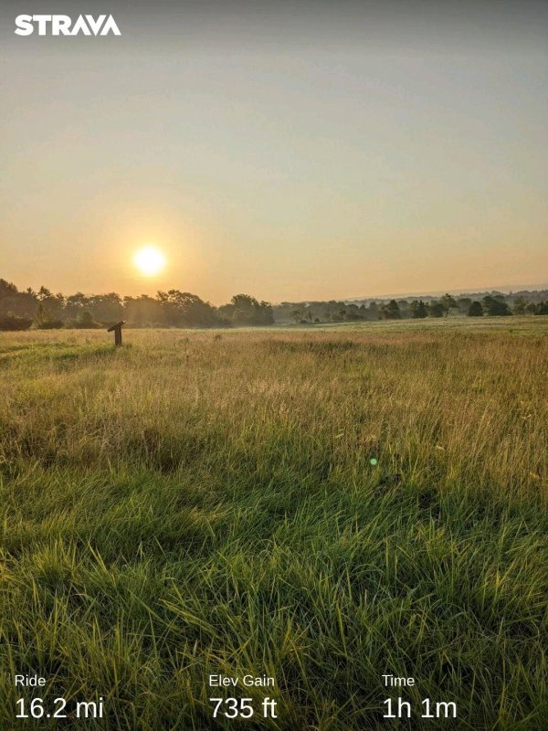 strava883151754204692324.jpg