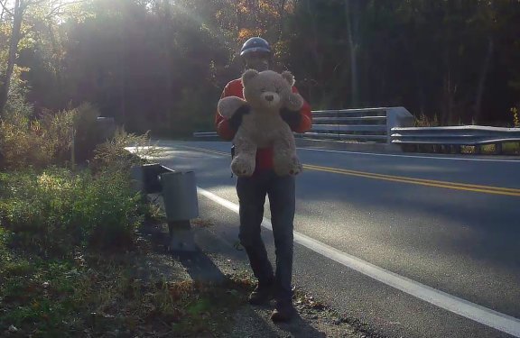 ted bear ted.jpg ted bear ted.jpg