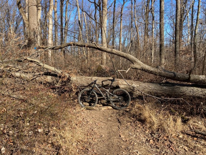 thumbnail_IMG_3117 (1).jpg