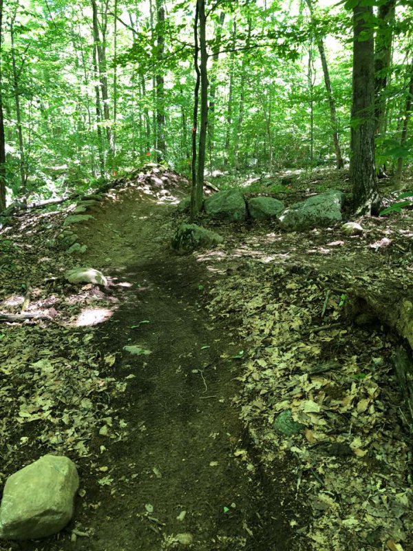 trail4.jpg