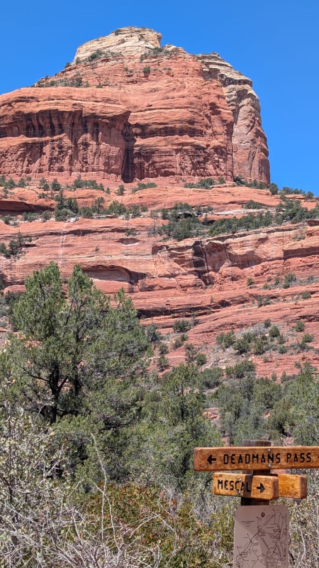 WhatsApp Image 2025-04-19 at 4.25.30 PM.jpeg