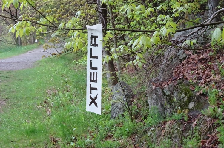 xterra foor07.jpg