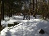 IMG_0164x.jpg