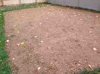 ImageUploadedByTapatalk1384171013.637307.jpg