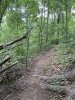 BD05CA55-D15C-4943-8493-8E22798C9547.jpeg