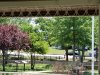 20200704_140542.jpg