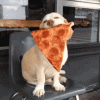 34F239EA-643D-4585-B844-D57F8C897D7D.gif