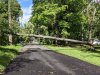 IMG_20200804_161039.jpg