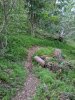 IMG_20200806_192005.jpg