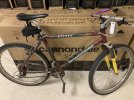 iboc bike.jpg