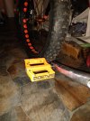 IMG_20201028_225029502.jpg