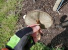 20201116_112955.jpg