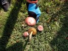 20201118_100728.jpg