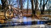 IMG_20150117_100219_964~2.jpg