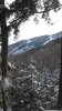20150117_143650.jpg