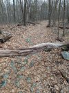 IMG_20210118_131706334.jpg