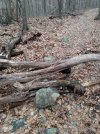 IMG_20210118_132916888.jpg