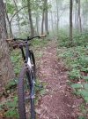 20200811_065213.jpg
