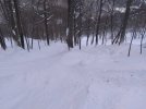 IMG_20210129_114600613.jpg
