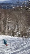 thumbnail_IMG_2724.jpg