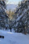 thumbnail_IMG_2741.jpg