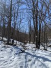PXL_20210302_155148103.jpg