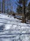 PXL_20210302_160502116.jpg