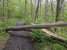 PXL_20210509_153421608.jpg