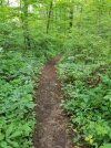 20210710_170839.jpg