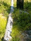 20201001_192635.JPG