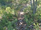 20201001_193008.JPG