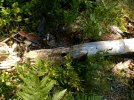 20201001_194153.JPG