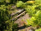 20201001_202704.JPG