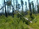 20201001_203856.JPG