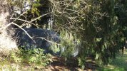 Dsc07224.jpg