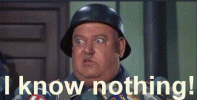 giphy (28).gif