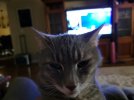 20211208_100648.jpg