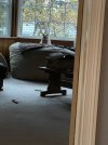 IMG_1147.jpeg