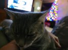 20211220_232449.jpg