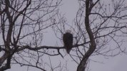 Dsc07976.jpg