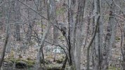 Dsc08001.jpg