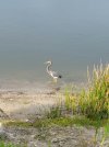 20220414_180436.jpg