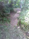 IMG_0243.jpg