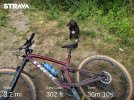 9407A9D7-DEB5-40F7-9B9A-502016644B03.jpeg
