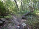 DSCN2871.JPG