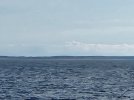 20220816_084826.jpg
