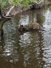 IMG_7941.jpeg