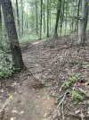 0D551617-7B3C-4029-9F55-A384CD8E2B21.jpeg