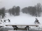 47823C6C-C105-4795-B2EF-F6DB48F0777B.jpeg